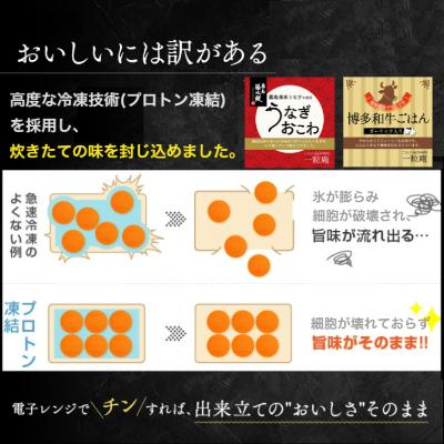 ふるさと納税 唐津市 霧島湧水うなぎおこわと博多和牛ごはん 6個セット(各3個)