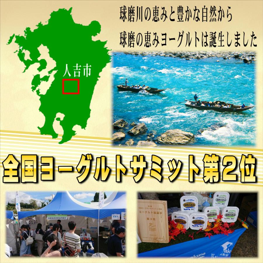 球磨酪農　球磨の恵ヨーグルト無糖　１ｋ×2個　送料無料　無糖ヨーグルト　人吉　人吉球磨　砂糖不使用