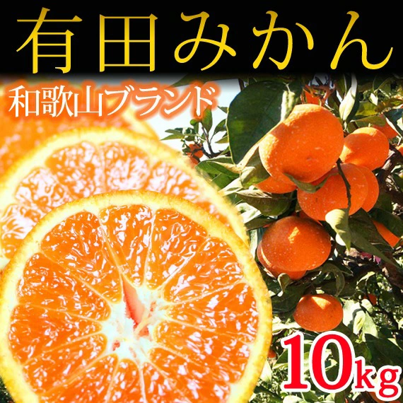 完熟有田みかん10kg ※2023年11月下旬～2024年1月下旬頃に順次発送予定