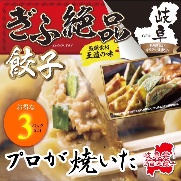 ぎふ絶品餃子 お得！10個入り(180g)×3パックSET 岐阜 餃子 お取り寄せ 冷凍