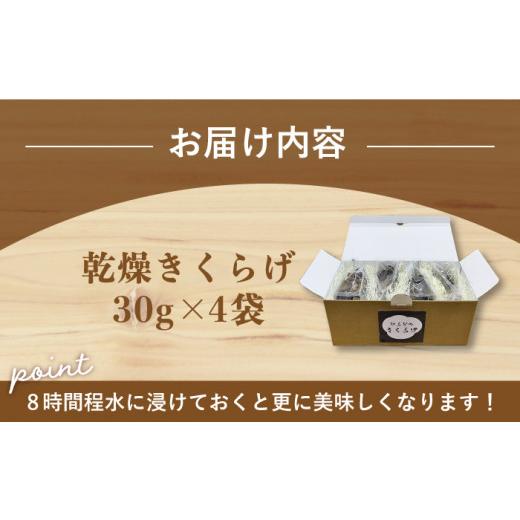 ふるさと納税 長崎県 平戸市 太った医者で社長の健康のためにも作ってる佐賀の人にはナイショのおいしすぎるきくらげ。平戸の乾燥きくらげ 約…