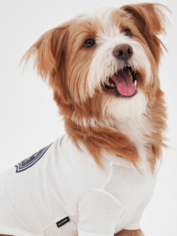 Airy Silket Apparel (Printing version)