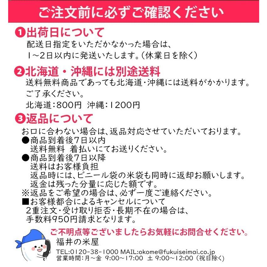 新米 米 10kg 5kg×2袋 ピカツンタ 福井県産 白米 令和5年産 送料無料