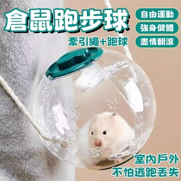 ✨台灣出貨🐾 倉鼠跑步球 倉鼠外出球 倉鼠跑球 倉鼠球 倉鼠外出 倉鼠滾球 黃金鼠滾球 倉鼠玩具 倉鼠用品 倉鼠 外出