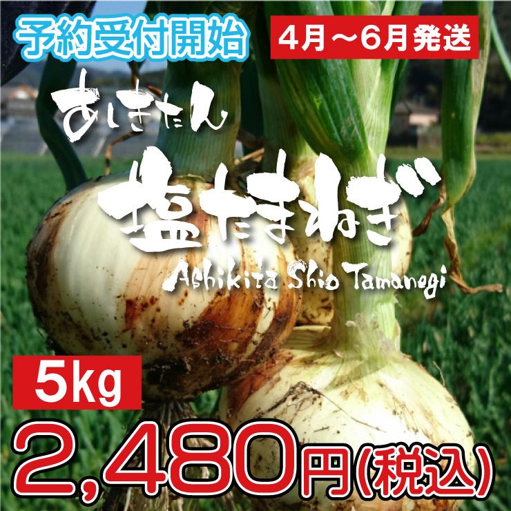 あしきたん塩たまねぎ5kg【5月22日以降発送予定分】　塩たまねぎ/玉ねぎ/新玉ねぎ/サラたま/たかみね農園　LINEショッピング