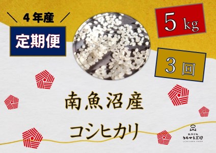 令和4年産　南魚沼産コシヒカリ　5kg×3回