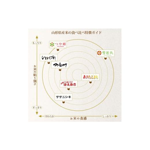 ふるさと納税 山形県 鶴岡市 令和5年産 はえぬき 無洗米 5kg×1袋　山形県庄内産　有限会社 阿部ベイコク