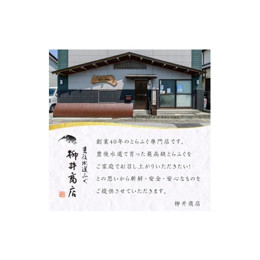 ふるさと納税 大分県 佐伯市 ＜着日指定必須＞豊後とらふぐ 刺身 ポン酢 薬味付き セット (4-5人前) 