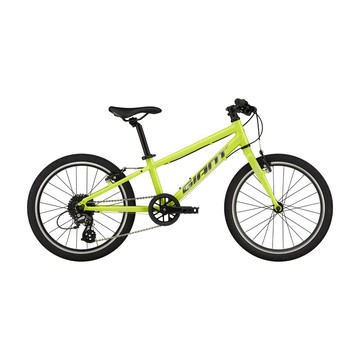 『小蔡單車』捷安特 GIANT ARX 20 輕量化鋁合金 前後快拆 8速 青少年 兒童車/童車/自行車