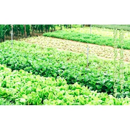 ふるさと納税 季節の野菜詰め合わせ（おまかせセット） 岩手県久慈市