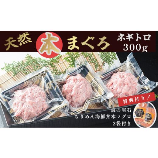 ふるさと納税 京都府 舞鶴市 天然 本まぐろ ネギトロ セット ネギトロ 300g 海の宝石 ちりめん 海鮮丼 本マグロ 2袋 まぐろ マグロ 海鮮 特典付き プロトン冷…