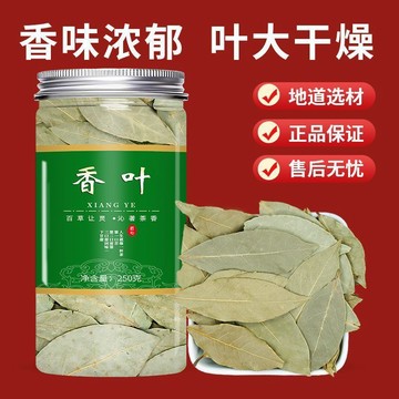 ✨ 臺灣出貨✨廣西香葉 250公克罐裝 高品質 調料鹵料另售八角花椒桂皮草果組閤家用商用調料香料火鍋