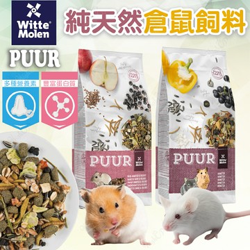 荷蘭偉特PUUR 純天然倉鼠飼料 迷你倉鼠 倉鼠飼料 品牌糧 倉鼠主食 黃金鼠 主糧 鼠糧【240101】