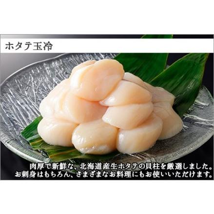 ふるさと納税 1363. ホタテ貝柱 800g 100g×8 小分け ほたて 帆立 貝柱 玉冷 貝 刺身 お刺身 海鮮 冷凍 ご家庭用 送料無料 北海道 弟子屈.. 北海道弟子屈町