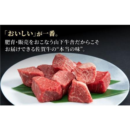 ふるさと納税 佐賀牛 ヒレ サイコロステーキ 500g(250g×2パック)黒毛和牛 牛肉 フィレ ヒレ肉 ヒレステーキ 定.. 佐賀県江北町