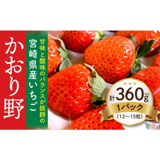 ふるさと納税 宮崎県 宮崎市 宮崎県産イチゴ「かおり野」1パック（360g以上：12粒〜15粒）_M260-013