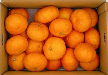 みかん 愛媛 甘平（約5kg）L～３Lサイズ 人気 数量限定 先行予約 柑橘 伊予市｜C51