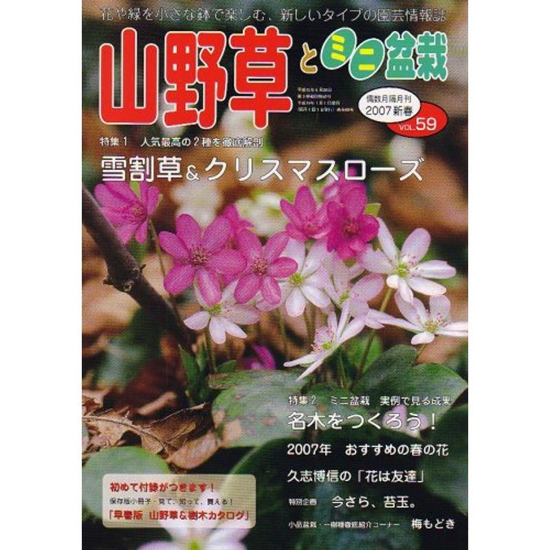 山野草とミニ盆栽 2007年 01月号 雑誌