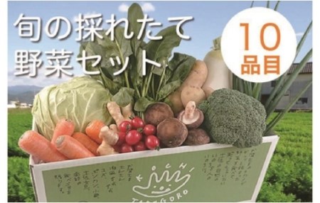 「定期便」野菜詰め合わせセット6ヵ月