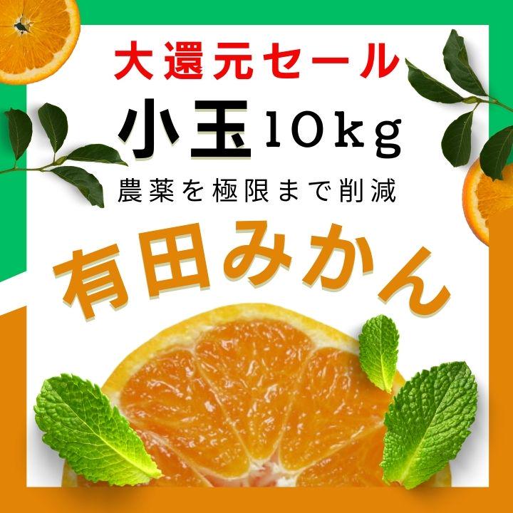 訳あり！濃くて甘い！小粒のみ！有田みかん 早生 10kg 減農薬 小さい 小玉