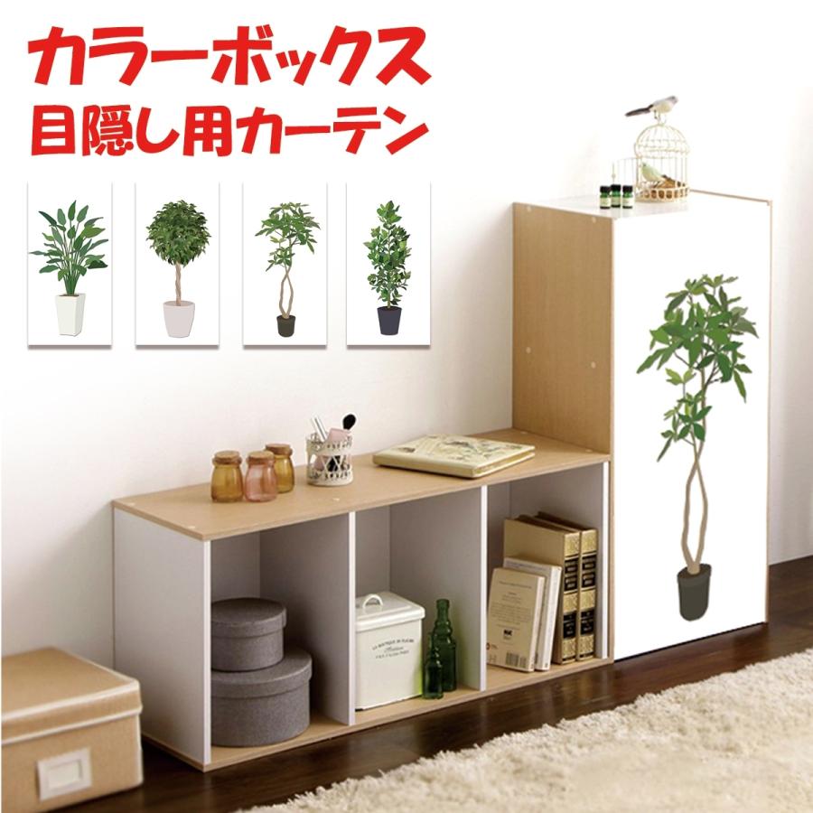 カラーボックス 棚 ラック 観葉植物 ボタニカル フェイクグリーン