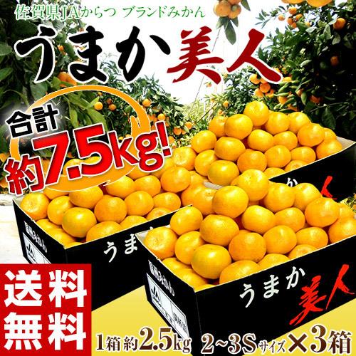 JAからつ 『うまか美人』 佐賀県産 みかん 約2.5kg×3箱 小玉 2S〜3Sサイズ　※常温 送料無料