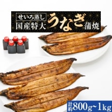 蒸篭(せいろ)蒸し　国産特大うなぎ蒲焼5尾　特製タレ5個