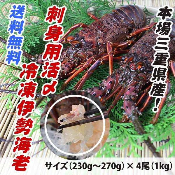 送料無料　刺身用冷凍伊勢海老　普通サイズ　1ｋｇ　4尾入　[伊勢海老]　（活〆冷凍）