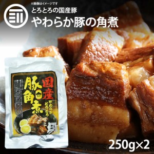 [前田家]  やわらかとろとろ 豚角煮 500g (250gx2袋) 国産豚 豚の角煮 煮豚 煮込み料理 レトルト 惣菜 煮物 おかず 常温 食品 おつまみ