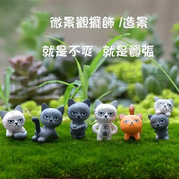 【現貨】不爽貓咪系列/微景觀/造盆景/多肉/蛋糕擺件/桌上裝飾/盆栽擺件/園藝/拍攝道具/園藝裝飾/婚禮擺飾/桌上擺件