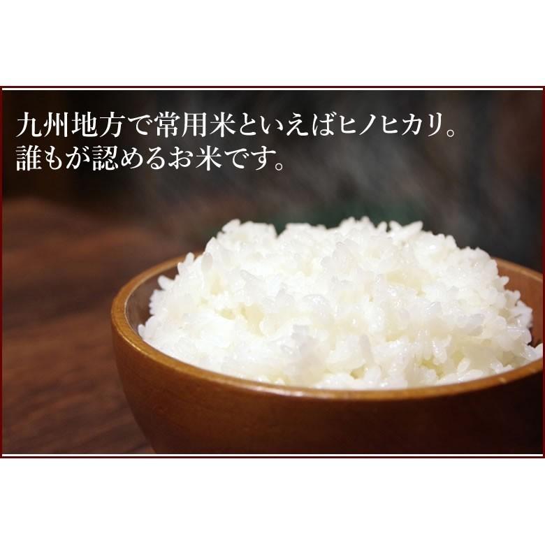 ひのひかり 米 送料無料 5kg 令和5年産 新米 熊本県産 お米 白米 玄米 コシヒカリ 森のくまさん