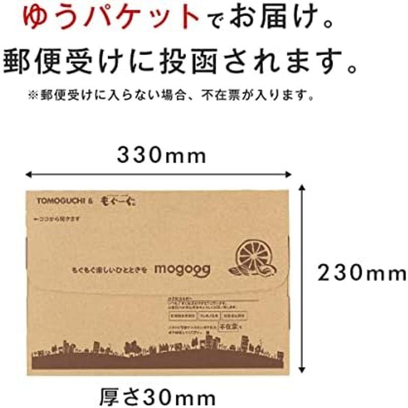 ドライマンゴー チャック付き袋 一口サイズ (450g×2袋) 友口 TOMOGUCHI もぐーぐ。