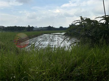 ☘️茄苳路靜謐農地➡️近國際路、生活便利	｜桃園市八德區廣隆段