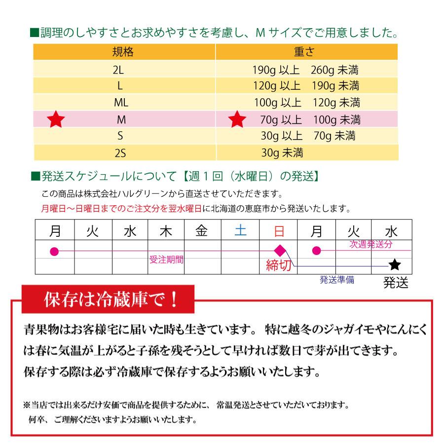 北海道産じゃがいも　とうや　10kg