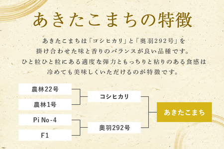 あきたこまち 15kg 米 白米 茨城県産 もっちり お弁当 おにぎり 47-I