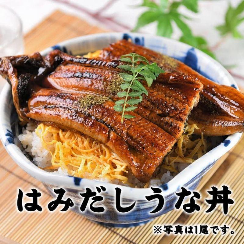 黒毛和牛卸問屋 柊 鰻 特大 うなぎ 肉厚 (2尾)