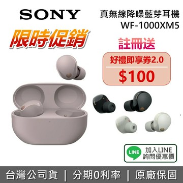 【~3/1前註冊送即享券100元+全館領券再折】SONY 索尼 WF-1000XM5 真無線降噪藍牙耳機 降噪藍牙耳機 藍芽耳機 台灣公司貨