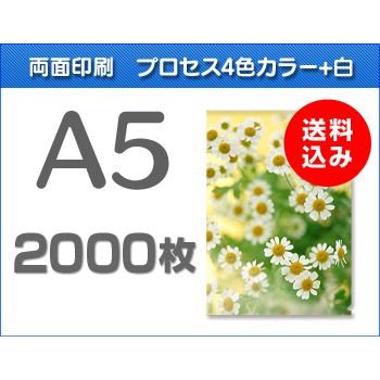 A5クリアファイル印刷　2000枚