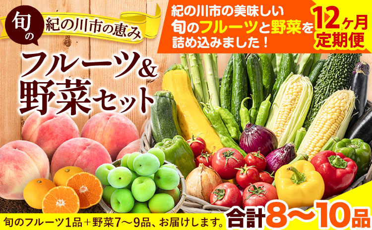 紀の川市の恵み 旬のフルーツ＆野菜セット 計8~10品《お申込み月翌月から出荷開始》和歌山県 紀の川市 フルーツ 果物 野菜 セット 桃 梅 みかん 新玉ねぎ なす トマト キャベツ---wfn_cvgs1tei_23_120000_mo12num1---