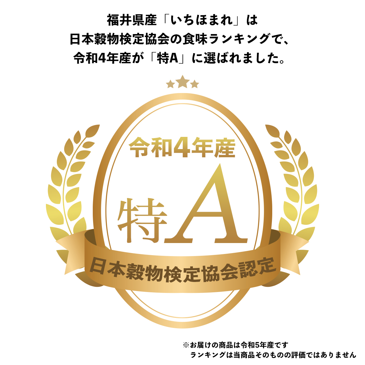 令和5年産　福井県産　いちほまれ　10kg（5kg×2袋）