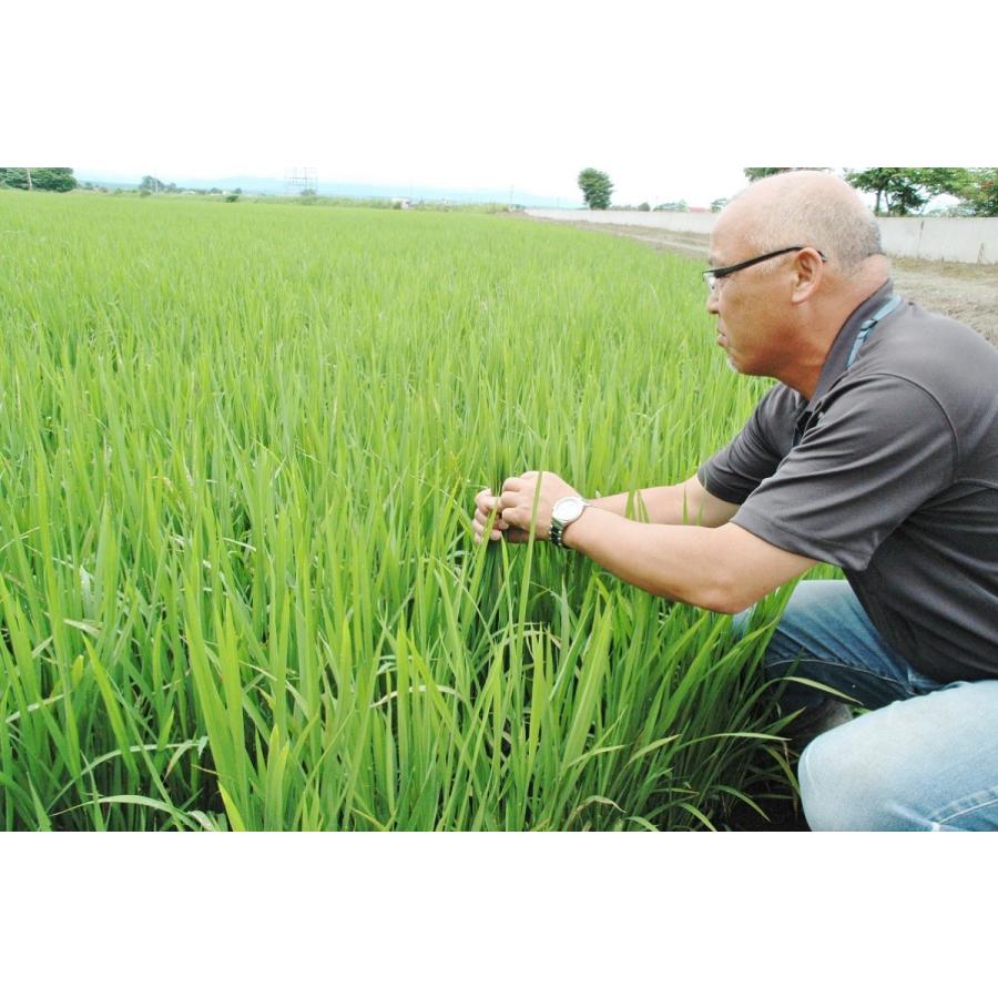 特別栽培　今摺り米　減農薬　北海道産