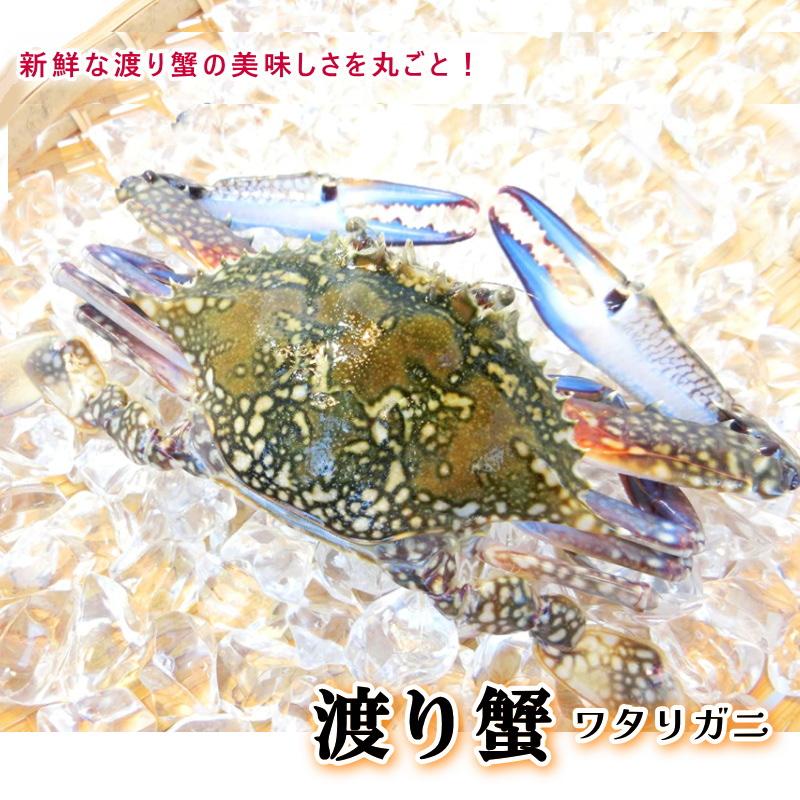 渡り蟹 ラウンド 約100g ワタリガニ姿　・渡り蟹姿・