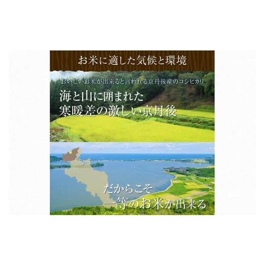 ふるさと納税 京都府 京丹後市 令和5年産 新米 美白精米 丹後こしひかり 3kg 1等米