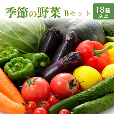 ふるさと納税 高原町 高原町の季節の野菜詰め合わせセットB(18種以上)　ll-669