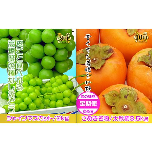 ふるさと納税 香川県 坂出市 坂出産のフルーツとさぬきの特産品の定期便7回