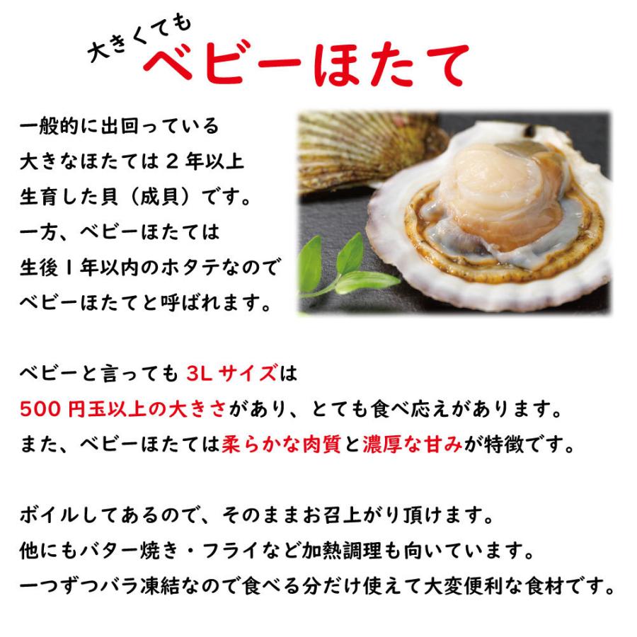 ボイル ベビー ほたて 特大 2L 1kg 61~80粒 牡蠣・貝類 ホタテ 帆立 貝柱 刺身