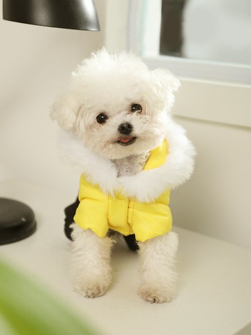 【優選百貨】狗狗衣服冬季小型犬泰迪約克夏幼犬比熊秋季小狗秋冬保暖四腳衣