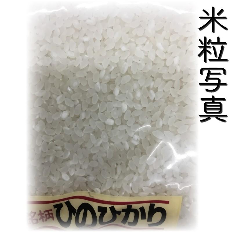 お米 米 10kg 白米 送料無料 一等米使用 熊本県産 ひのひかり あすつく 新米 令和5年産 ヒノヒカリ 5kg2個 くまもとのお米 富田商店 とみた商店