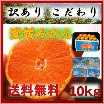 愛媛みかん１０ｋｇ 西宇和産　送料無料 無選別