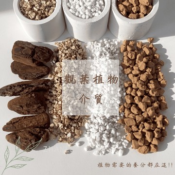 【台灣現貨】植物介質 泥炭 鋪底 鋪面 土壤 土耕 觀葉植物 多肉 盆栽 赤玉石 火山岩 日本輕石 發泡煉石 樹皮 椰塊